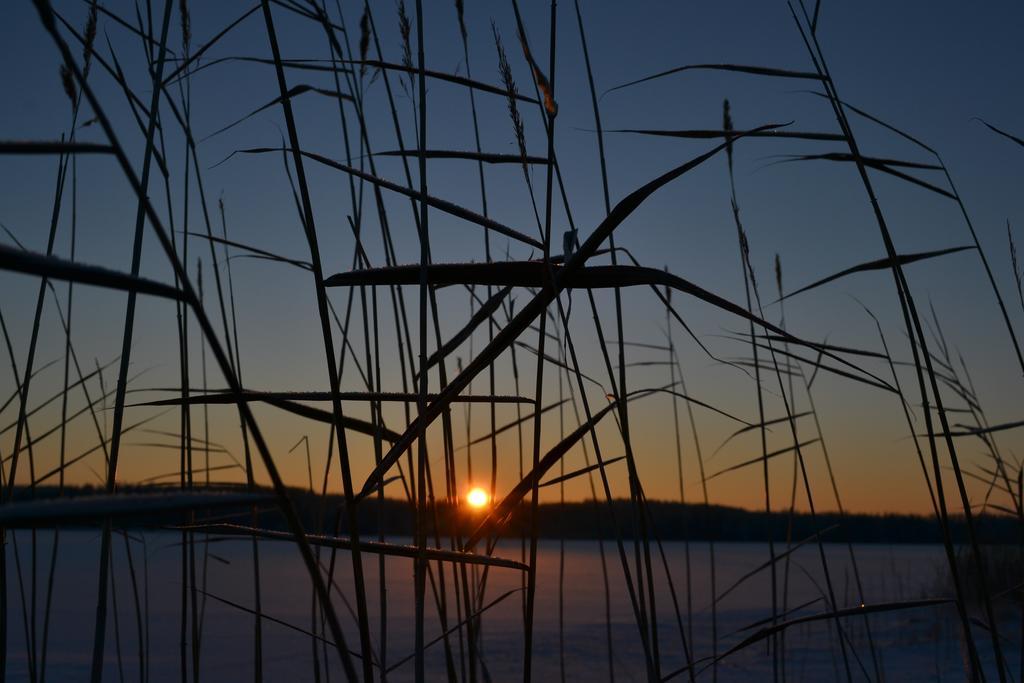 Loikansaari Lomamoekit Holiday Cottages Kallislahti Dış mekan fotoğraf